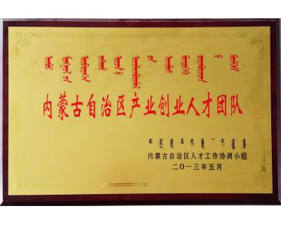 內(nèi)蒙古自治區(qū)產(chǎn)業(yè)創(chuàng)業(yè)人才團(tuán)隊(duì)