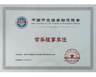 中國開發(fā)性金融促進會常務理事